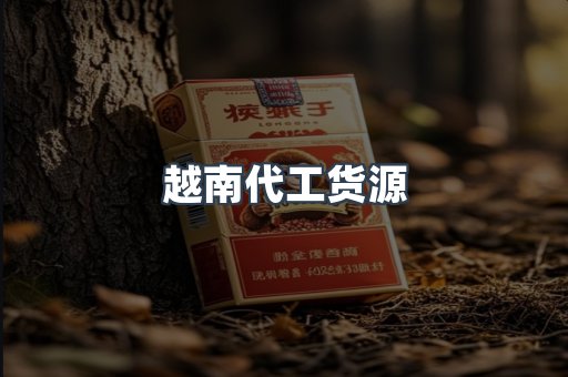 越南代工货源